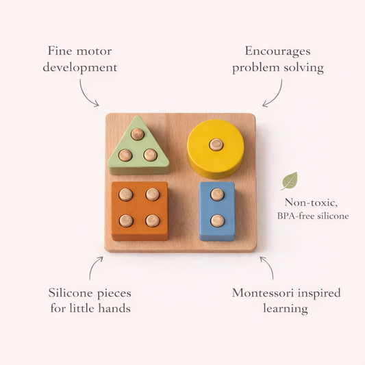 Montessori Shape Puzzle Toy