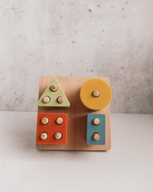 Montessori Shape Puzzle Toy